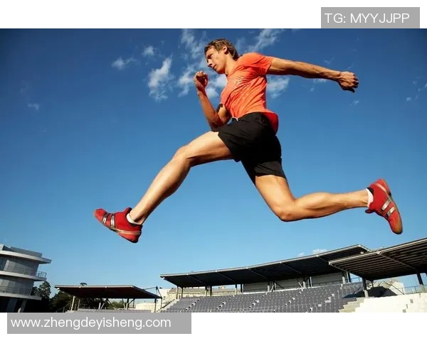 全球体育明星风采：探索国际运动员背后的奋斗与荣耀